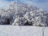 harmatcsepp vendeghaz, őrség vendégház